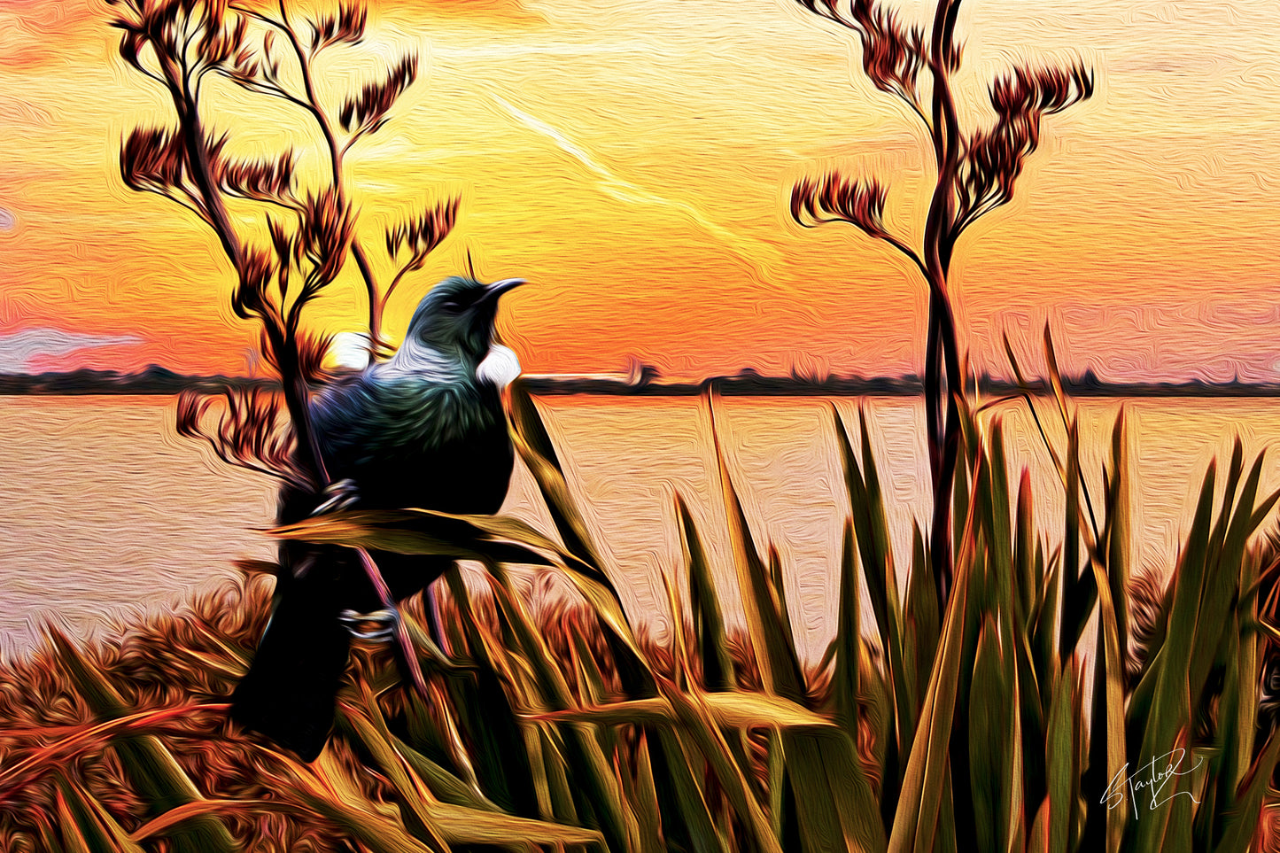 Tui @ Sunset ALUMINIUM Art print