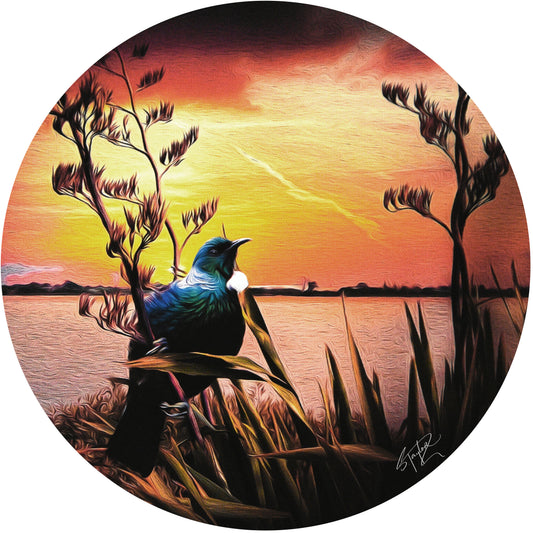 Tui @ Sunset ALUMINIUM Art print