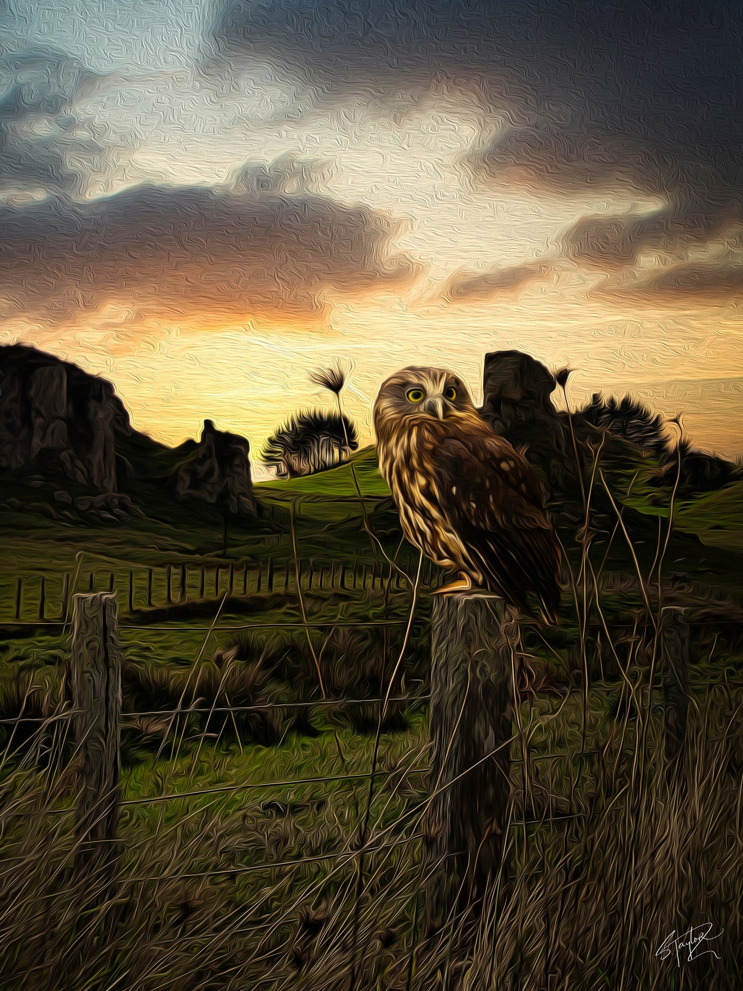 Ruru @ Panetapu ALUMINIUM Art print