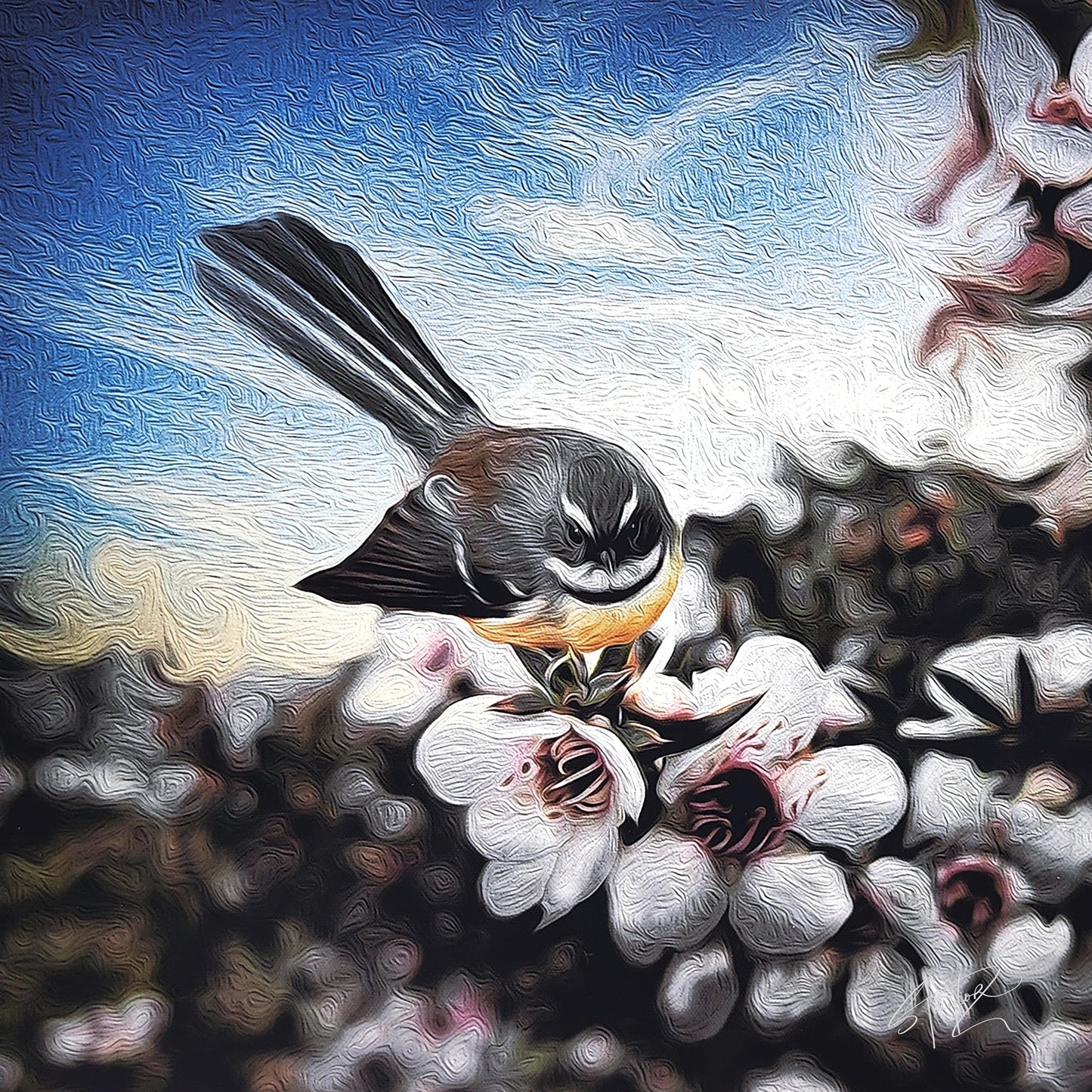 Fantail on Manuka ALUMINIUM Art print