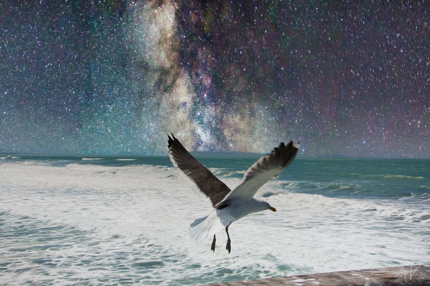 Seagull @ Brighton Pier ALUMINIUM Art print