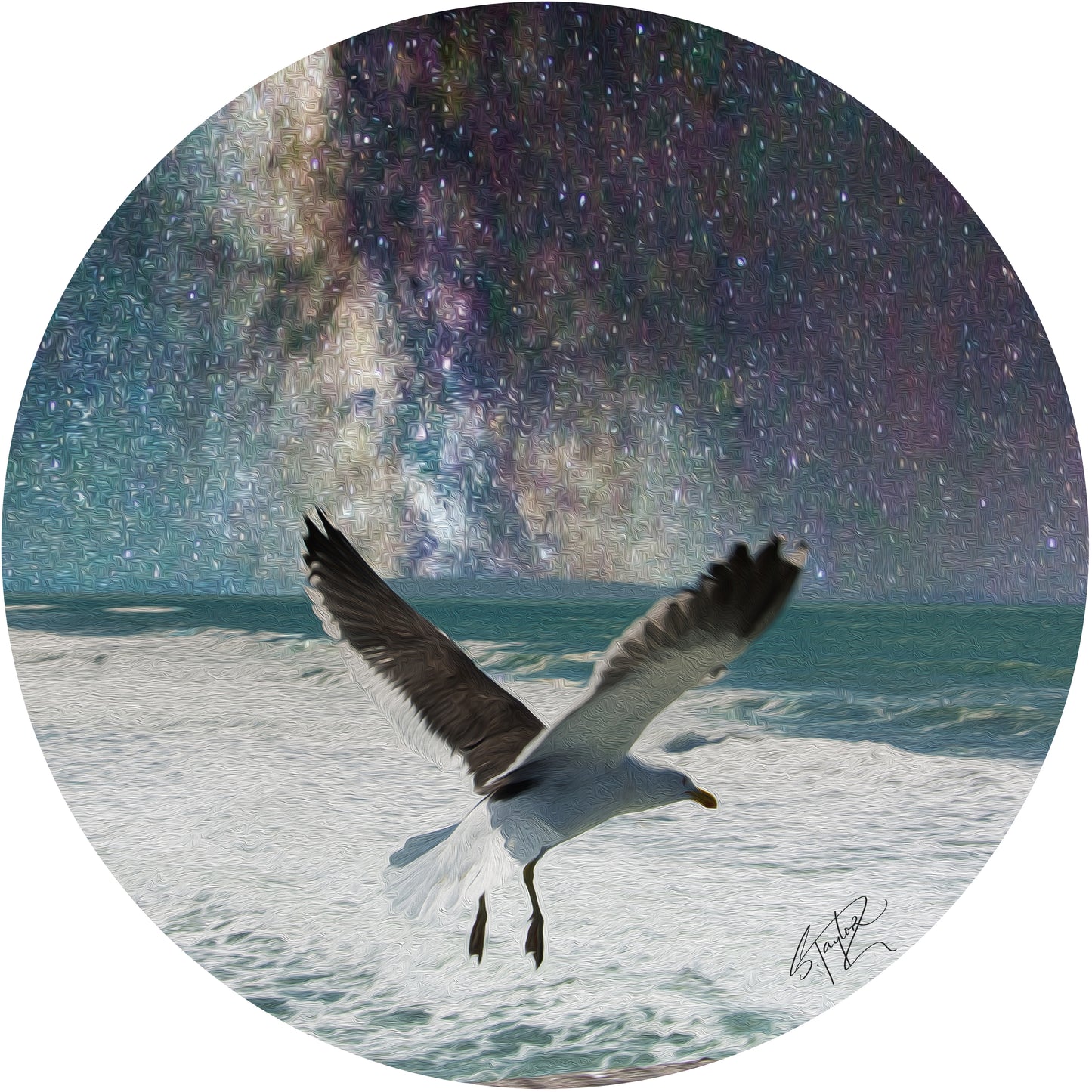 Round Aluminium Indoor/Outdoor Art Print - Seagull @Brighton Pier
