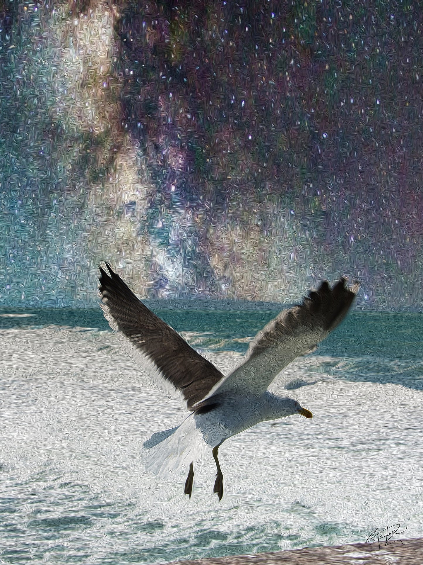 Seagull @ Brighton Pier ALUMINIUM Art print