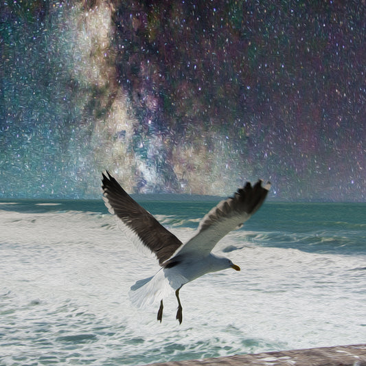 Seagull @ Brighton Pier CANVAS Art Print