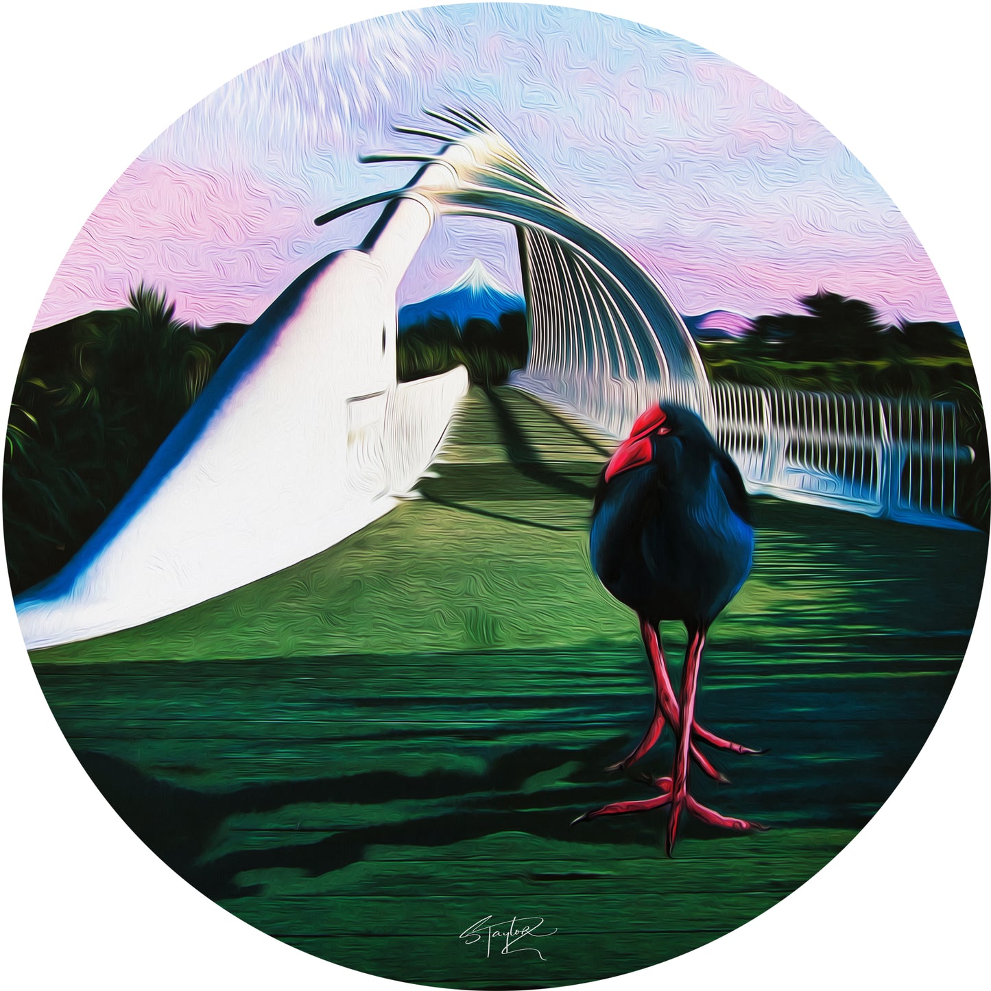 Round Aluminium Indoor/Outdoor Art Print - Pukeko @ New Plymouth