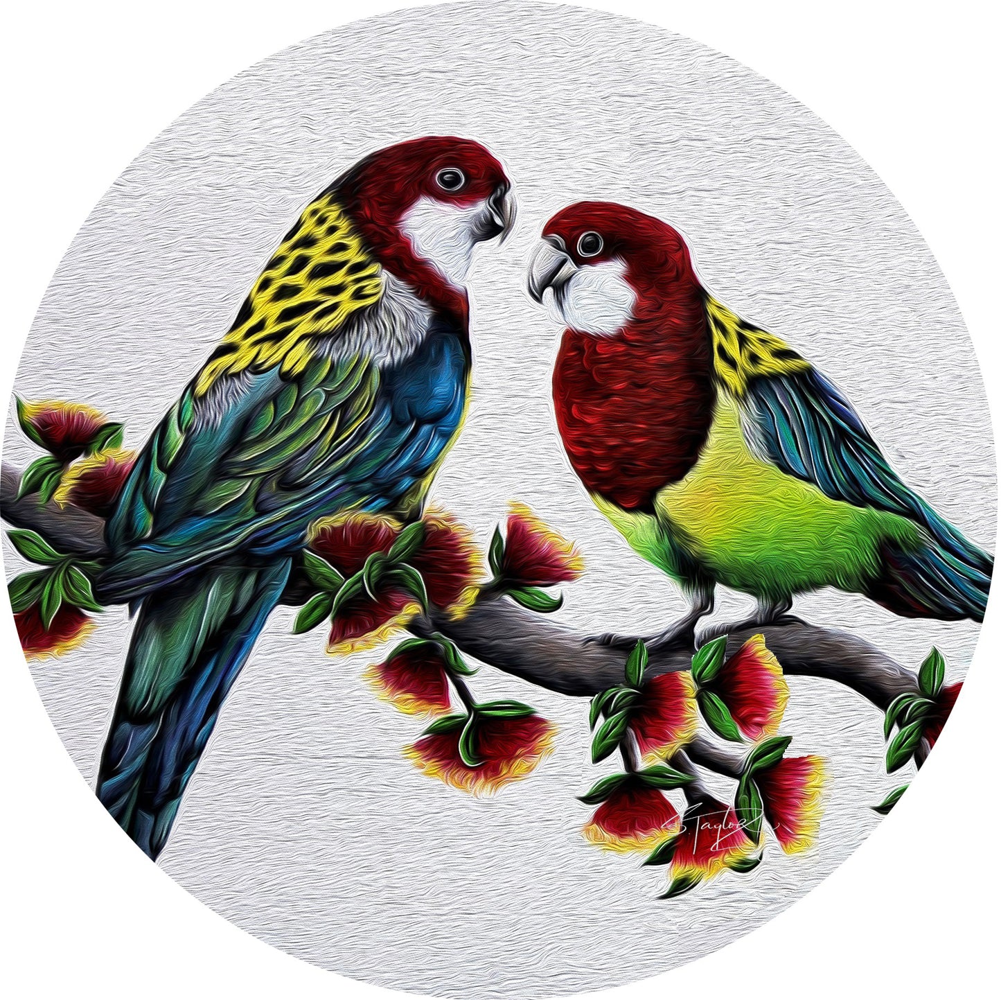 Round Aluminium Indoor/Outdoor Art Print - The Lovebirds