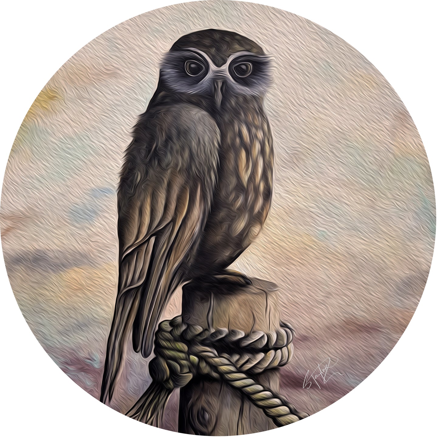 Round Aluminium Indoor/Outdoor Art Print - The Guardian
