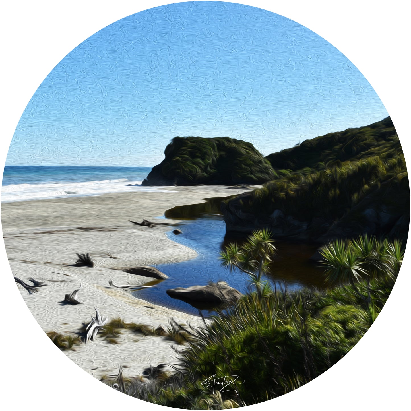 Round Aluminium Indoor/Outdoor Art Print - St Clair, Dunedin