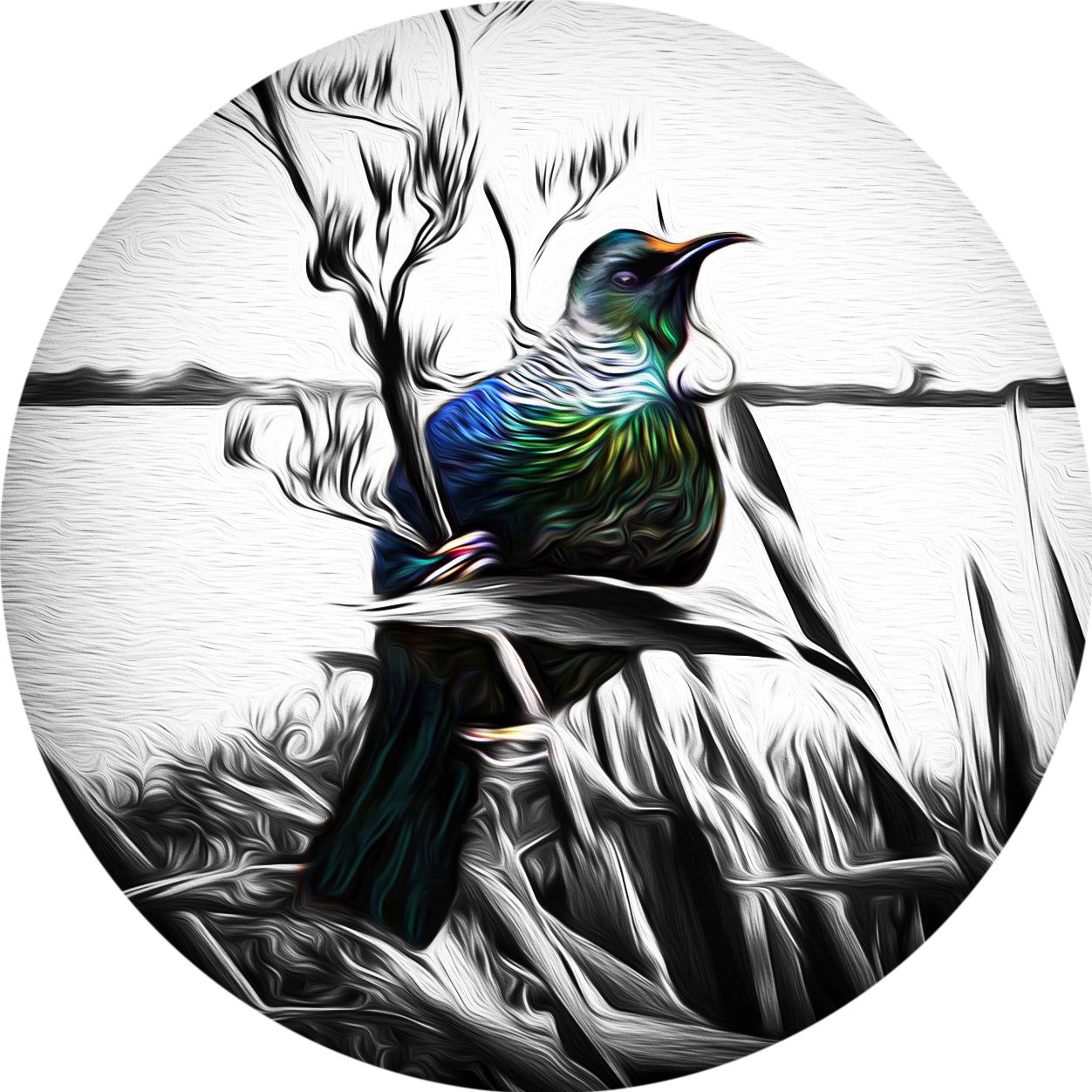 Round Aluminium Indoor/Outdoor Art Print - Tui