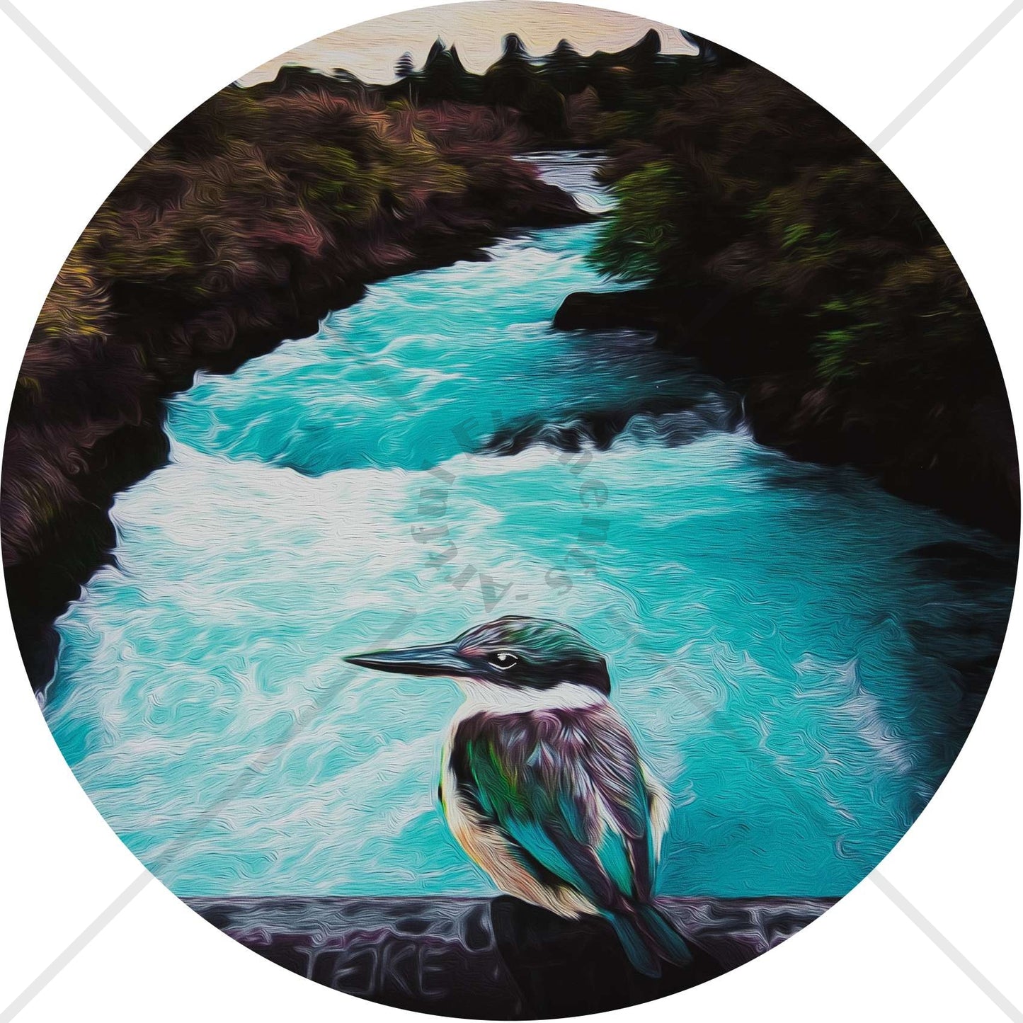 KOTARE @ HUKA FALLS Art Print