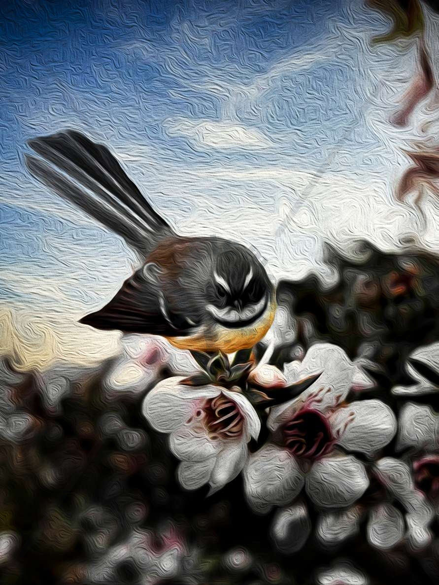 FANTAIL ON MANUKA Art Print