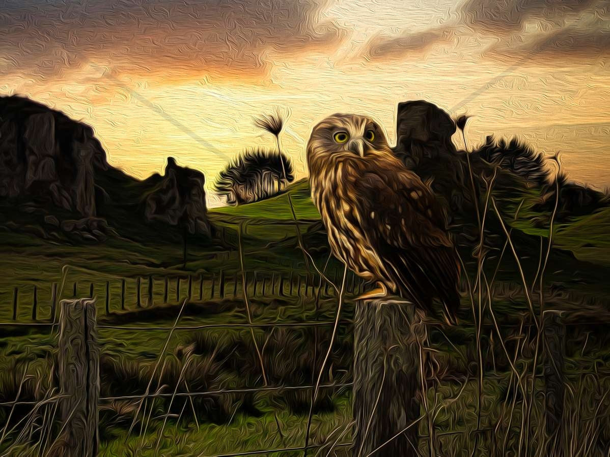 RURU @ WAIPA Art Print