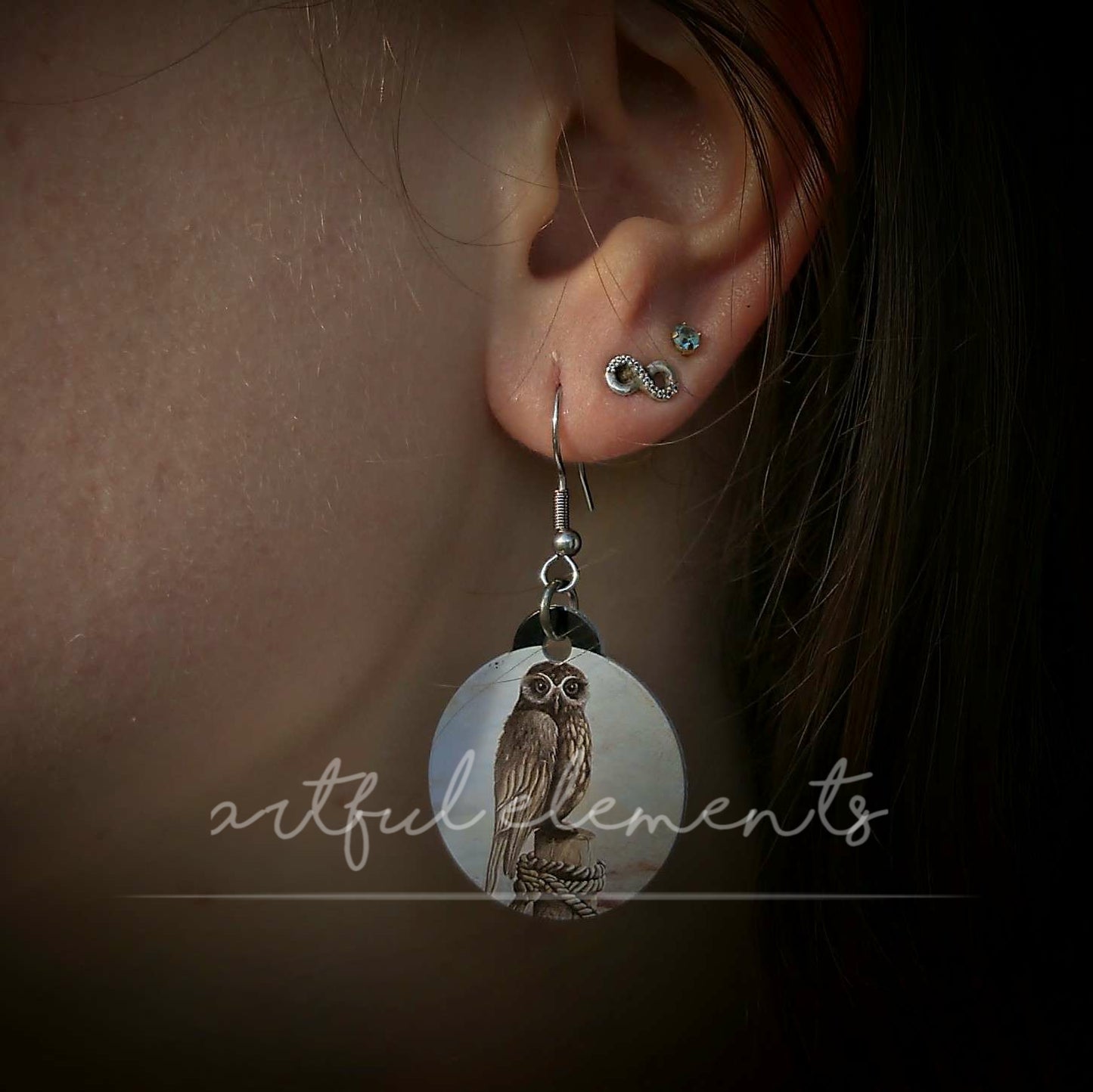 Kiwiana Art Earrings - Native Birds