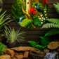 Tui in Kauri Forest ALUMINIUM Art print