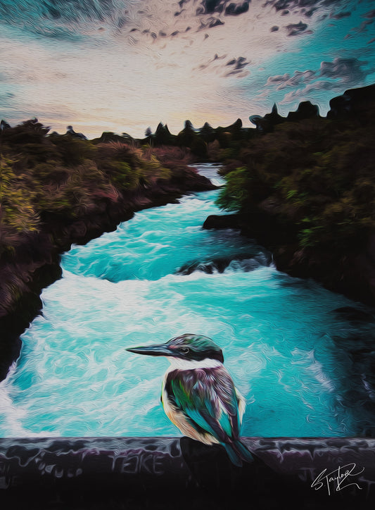 Kotare @ Huka Falls CANVAS Art Print