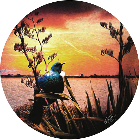 Tui @ Sunset ALUMINIUM Art print