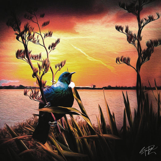 Tui @ Sunset ALUMINIUM Art print