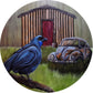 Round Aluminium Indoor/Outdoor Art Print - Ko-Car-Ko