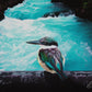 Kotare @ Huka Falls CANVAS Art Print