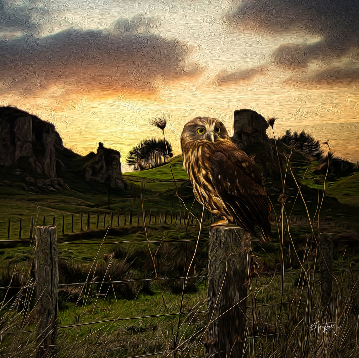 Ruru @ Panetapu ALUMINIUM Art print