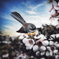 Fantail on Manuka ALUMINIUM Art print