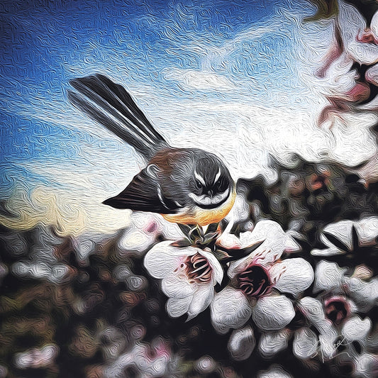 Fantail on Manuka ALUMINIUM Art print
