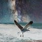 SEAGULL @ BRIGHTON PIER Art Print on Canvas (landscape)