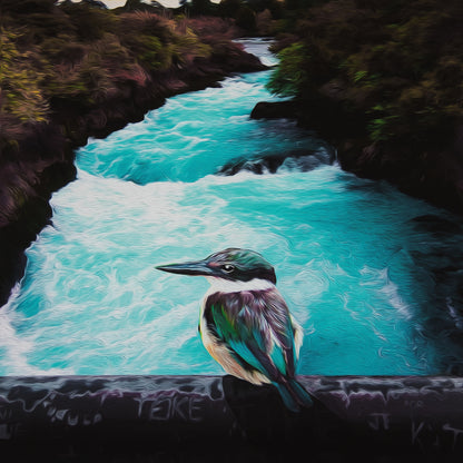 Kotare @ Huka Falls CANVAS Art Print