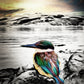 Kotare ALUMINIUM Art print