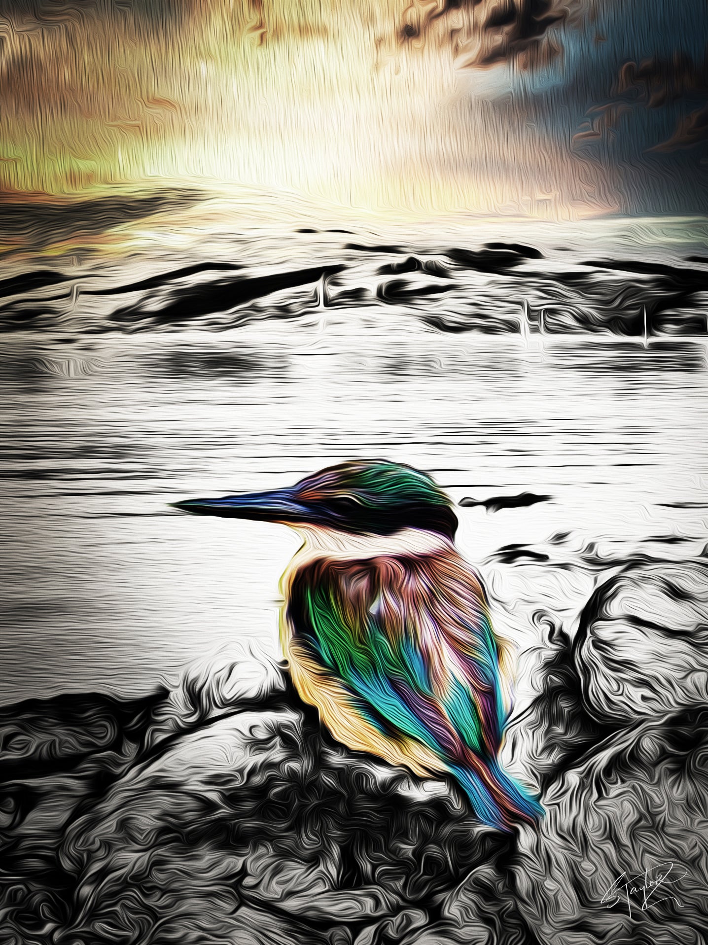 Kotare ALUMINIUM Art print