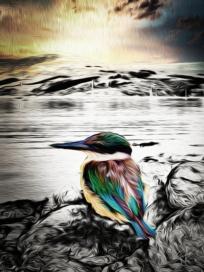 Kotare CANVAS Art Print