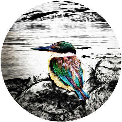 Kotare ALUMINIUM Art print