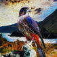 Falcon @ Cape Palliser ALUMINIUM Art print