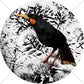 HUIA Art Print