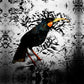 HUIA Art Print