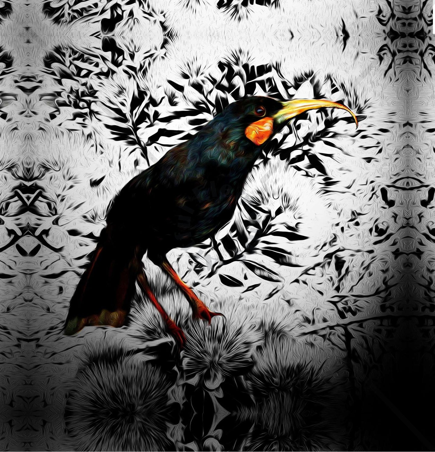 HUIA Art Print