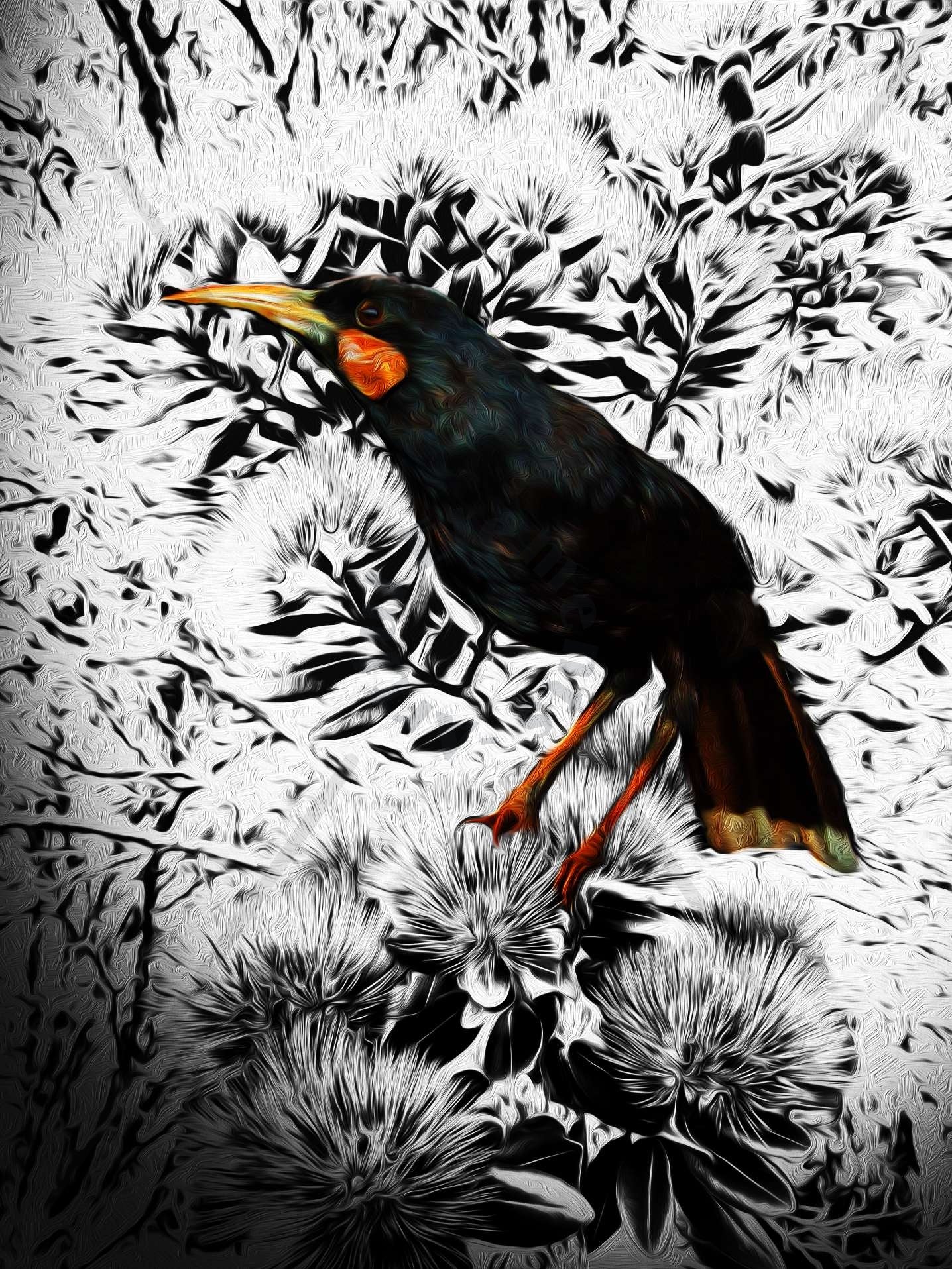 HUIA Art Print