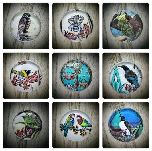 Glass Magnets - Various Full Colour Designs